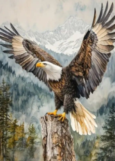 Diamond Painting Adler